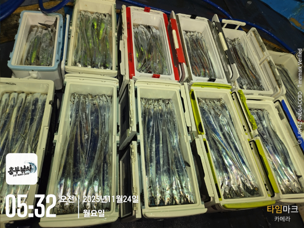 2025-11-24 05.32.46_.jpg