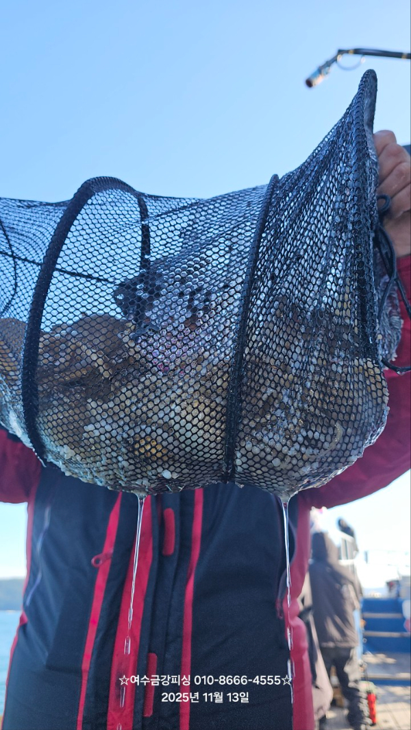 여수금강피싱_사진_20251113_17.jpg