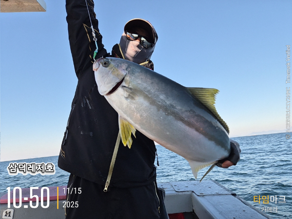 2025-11-15 10.50.49_.jpg