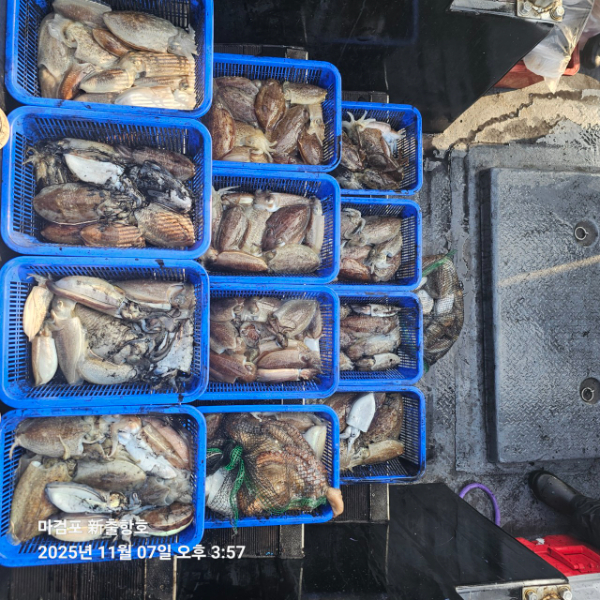 ꫛꫀꪝ✧‧˚ 태안 마검포 新출항호 .• _˚☀₊_사진_20251107_4.jpg