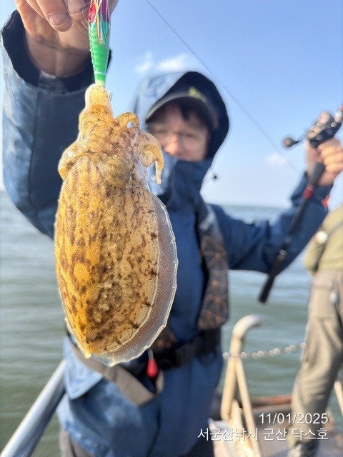 군산 선상낚시, 바다낚시 출조 전문 ☆서군산낚시☆_사진_20251101_1.jpg