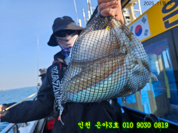 11월13 3호 (14).jpg