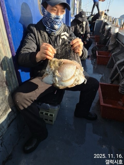 군산 선상낚시, 바다낚시 출조 전문 ☆서군산낚시☆_사진_20251116_1.jpg