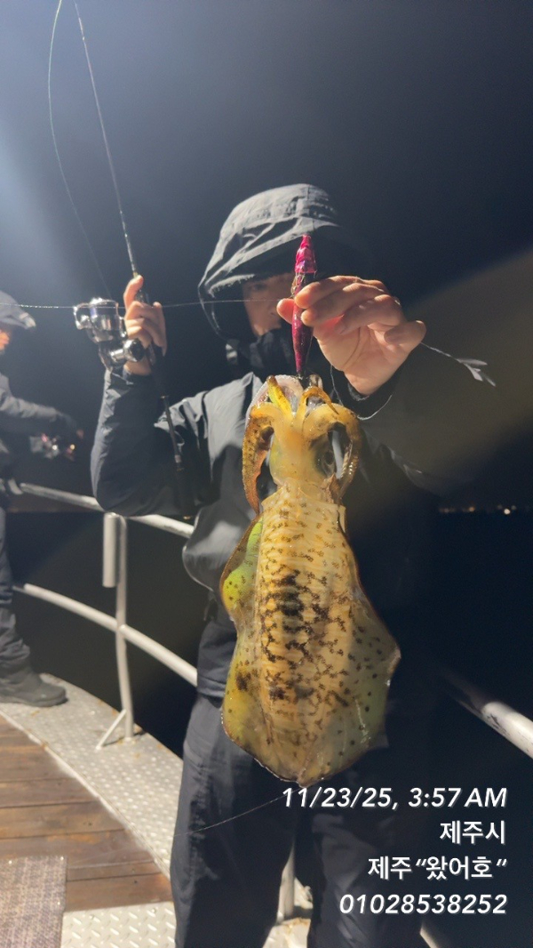 제주왔어호_사진_20251123_21.jpg