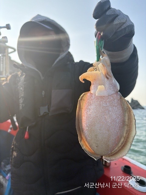 군산 선상낚시, 바다낚시 출조 전문 ☆서군산낚시☆_사진_20251122_5.jpg