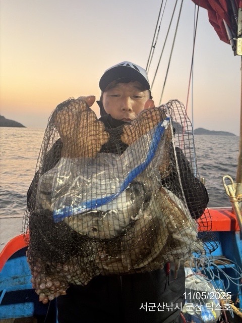 군산 선상낚시, 바다낚시 출조 전문 ☆서군산낚시☆_사진_20251105_7.jpg