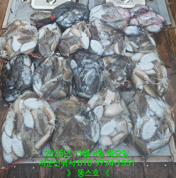 군산 선상낚시, 바다낚시 출조 전문 ☆서군산낚시☆_사진_20251104_3.jpg