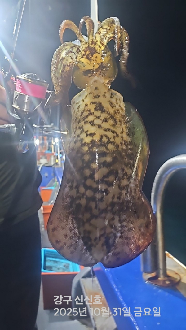 신신낚시 강구점 신신호_사진_20251101_6.jpg