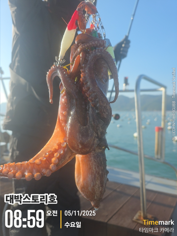 2025-11-05 08.59.26__(대박스토리호).jpg