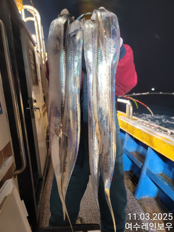 ♡여수레인보우♡갈치_열기_한치_갑오징어__사진_20251104_7.jpg