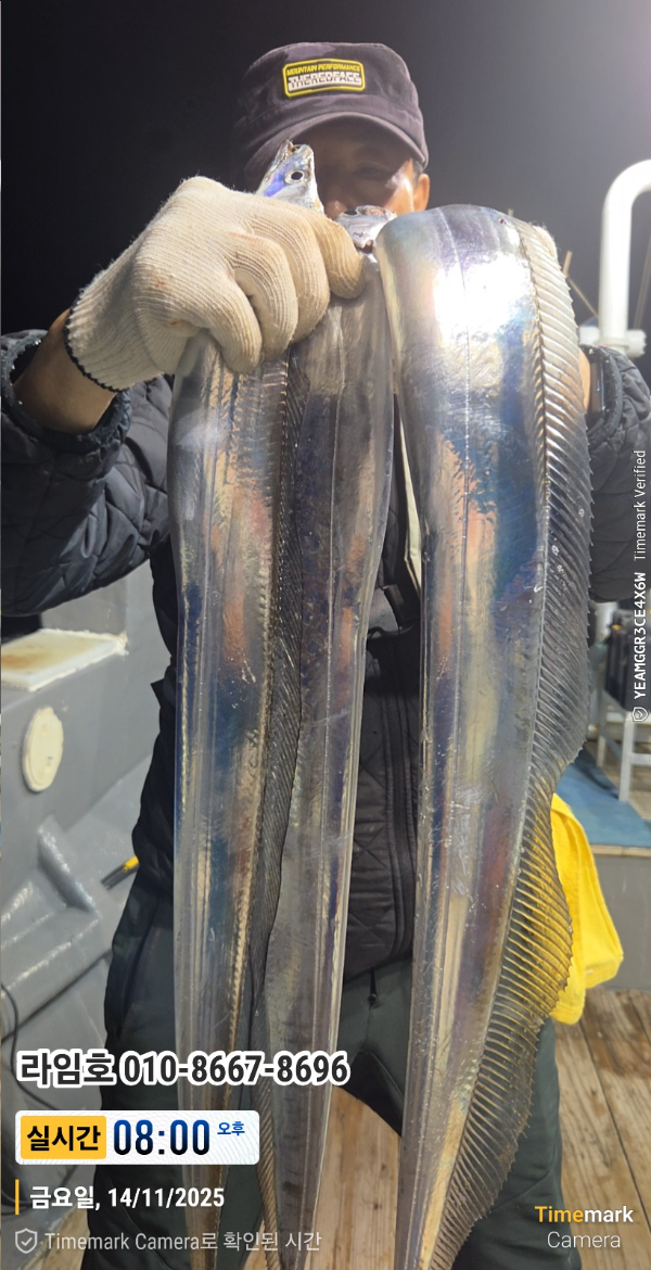 2025-11-14 08.00.53__(제목-실시간)_(라임호 010-8667-8696).jpg