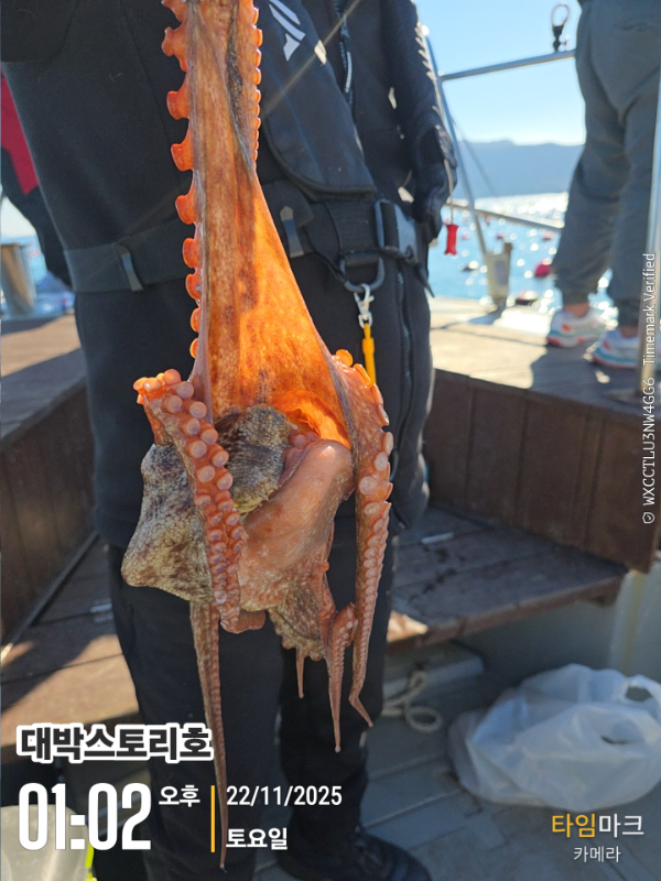 2025-11-22 01.02.16__(대박스토리호).jpg