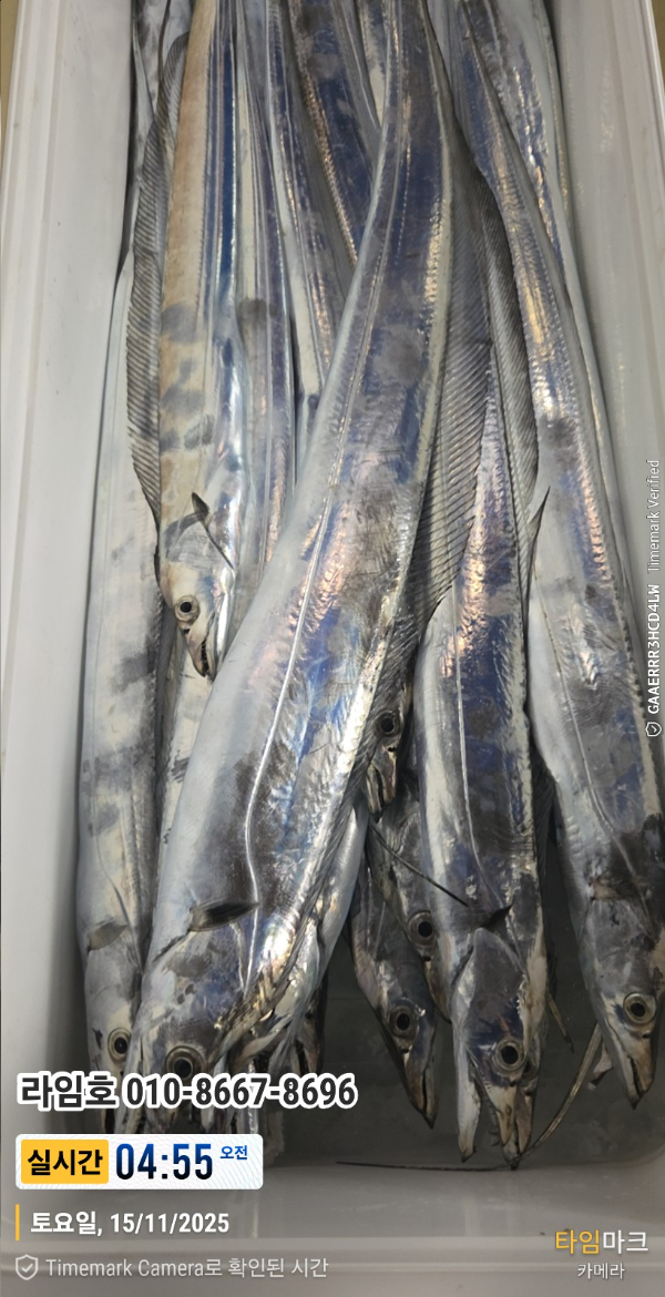 2025-11-15 04.55.59__(제목-실시간)_(라임호 010-8667-8696).jpg