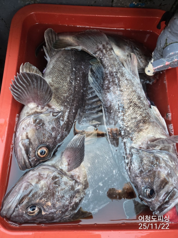 최강피싱 063.463.0800_사진_20251122_31 - 복사본.jpg