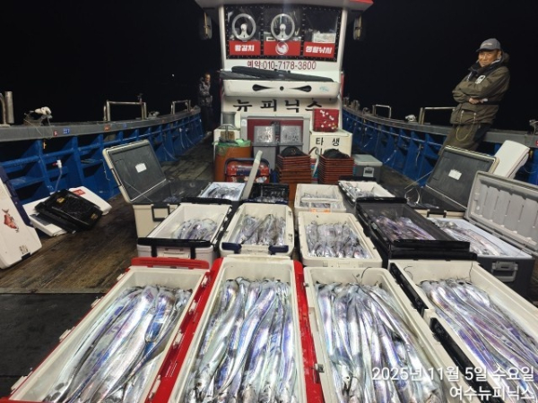 11월5일대갈치 (4).jpg