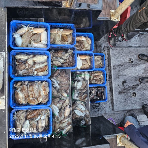 ꫛꫀꪝ✧‧˚ 태안 마검포 新출항호 .• _˚☀₊_사진_20251106_8.jpg