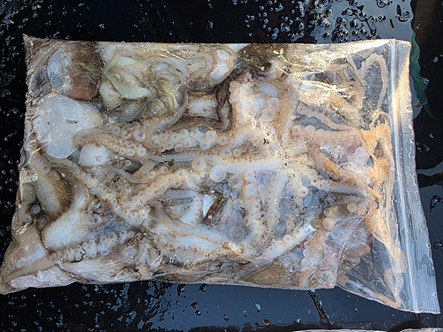 인천쭈꾸미낚시 (38).jpg