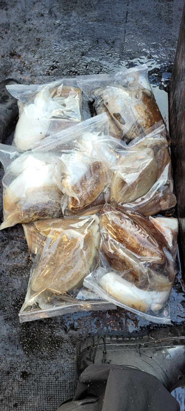 예지퀸호 농어외수질&어초낚시 경기인천권_사진_20251113_6.jpg