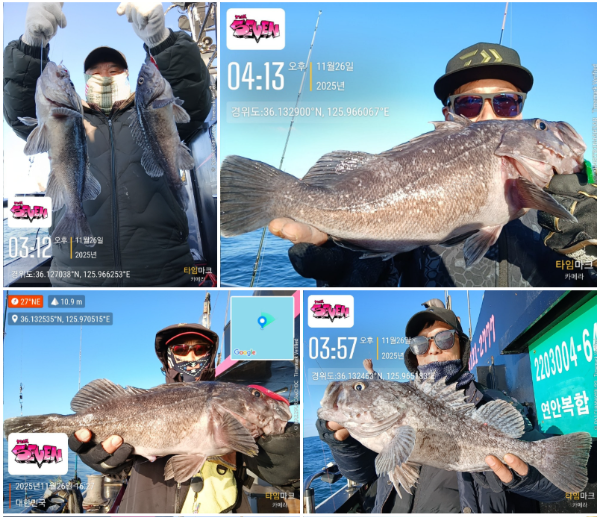 스크린샷 2025-11-27 131138.png