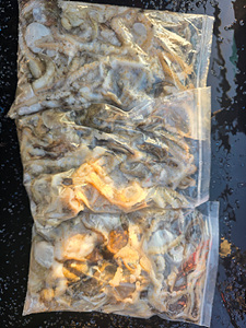 인천쭈꾸미낚시 (37).jpg