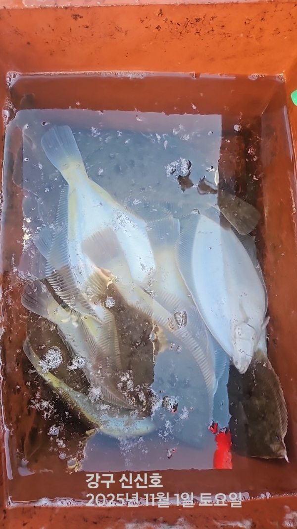 신신낚시 강구점 신신호_사진_20251101_5.jpg