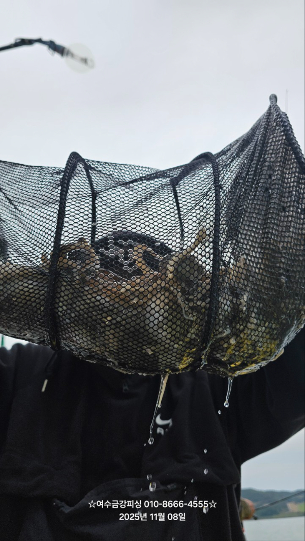 여수금강피싱_사진_20251108_12.jpg