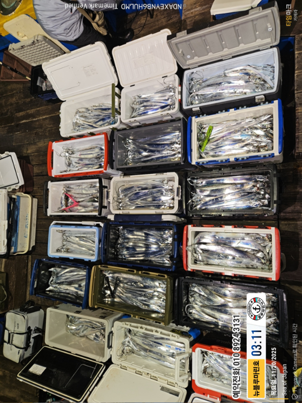 2025-11-20 03.11.36_Japan_(제목-뉴블루마린호)_(예약전화 010 8924 3131).jpg