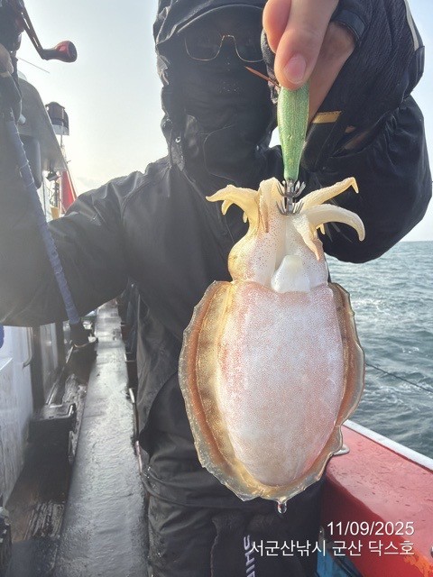 군산 선상낚시, 바다낚시 출조 전문 ☆서군산낚시☆_사진_20251109_14.jpg
