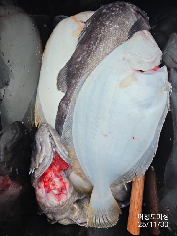 최강피싱 063.463.0800_사진_20251130_28.jpg