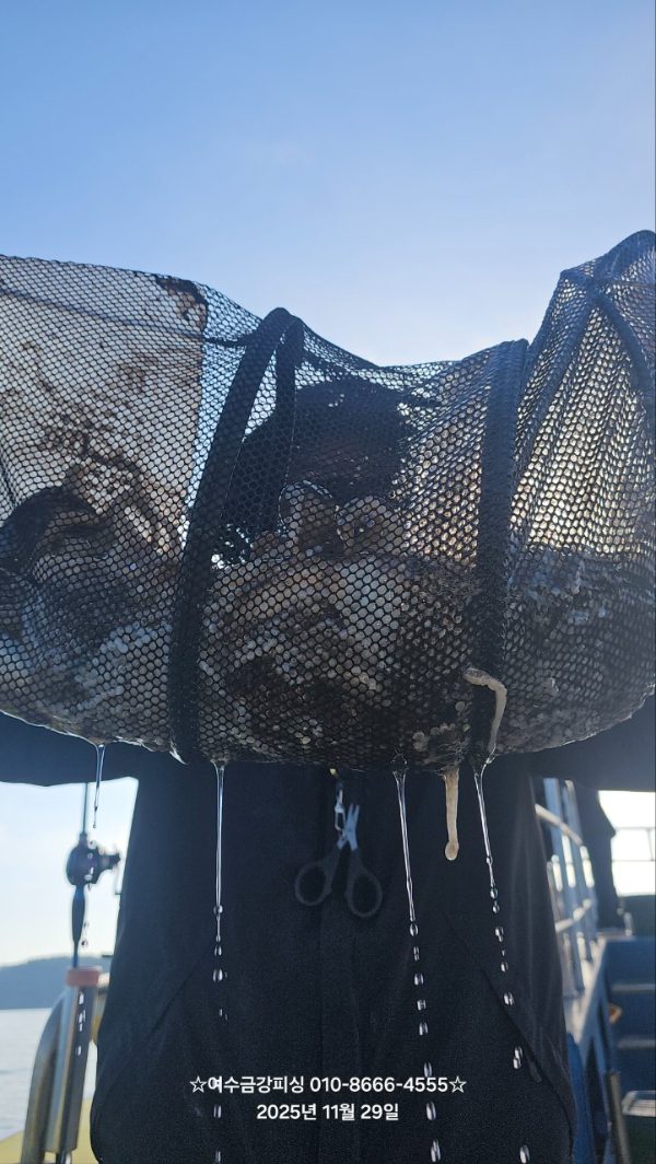 여수금강피싱_사진_20251129_4.jpg