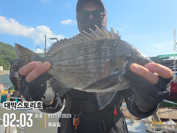 2025-11-01 02.03.52__(대박스토리호).jpg