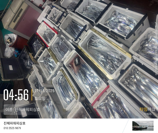 2025-11-15 04.56.41_(이름-진해파워피싱호).jpeg