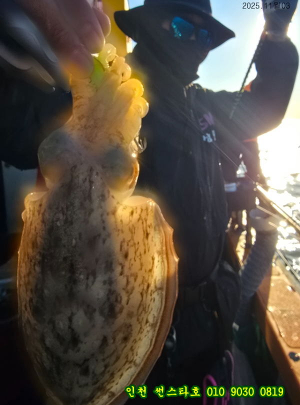 11월03 썬 (13).jpg