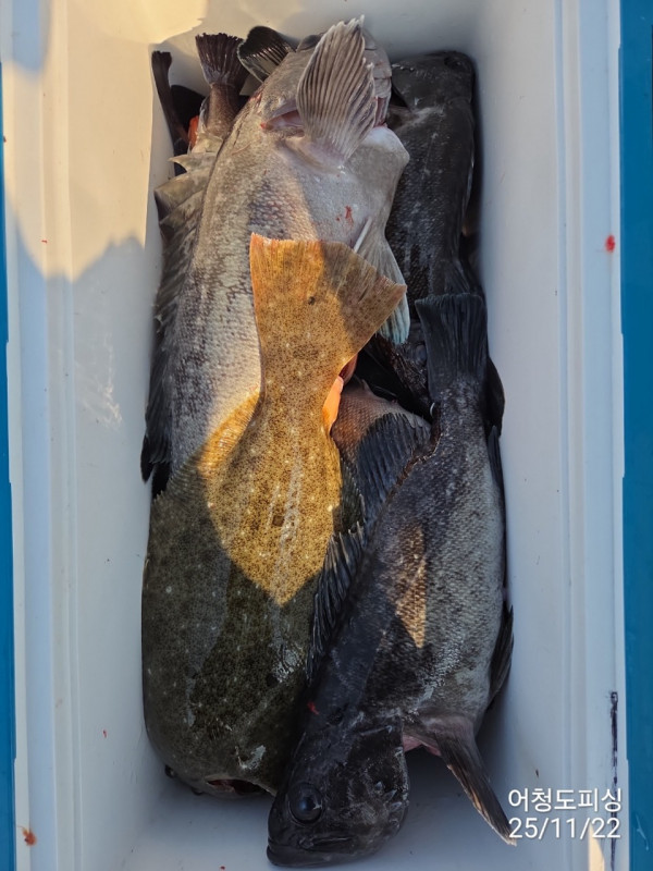 최강피싱 063.463.0800_사진_20251122_51.jpg