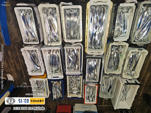 2025-11-15 03.15.30_Japan_(제목-뉴블루마린호)_(예약전화 010 8924 3131).jpg