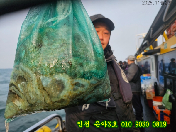 11월23 3호 (11).jpg