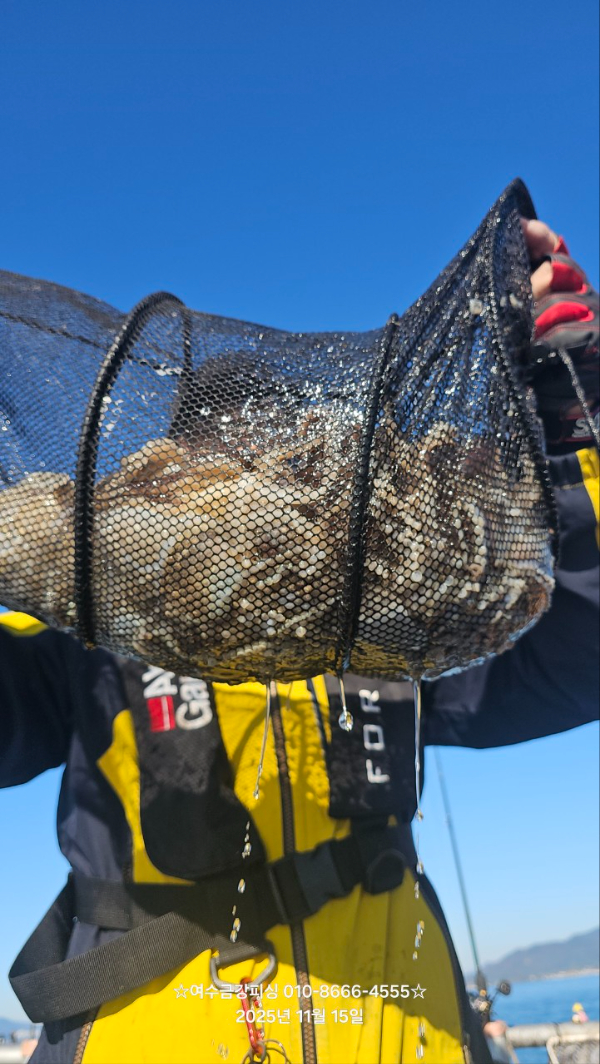 여수금강피싱_사진_20251115_2.jpg