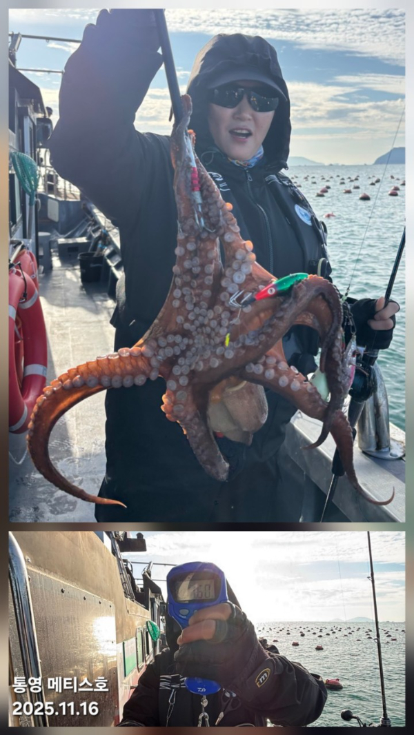 통영 메티스호_사진_20251117_4.jpg