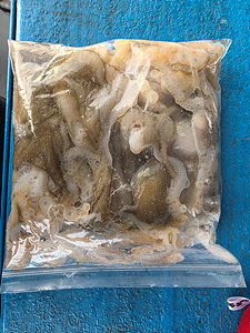 인천쭈꾸미낚시 (13).jpg