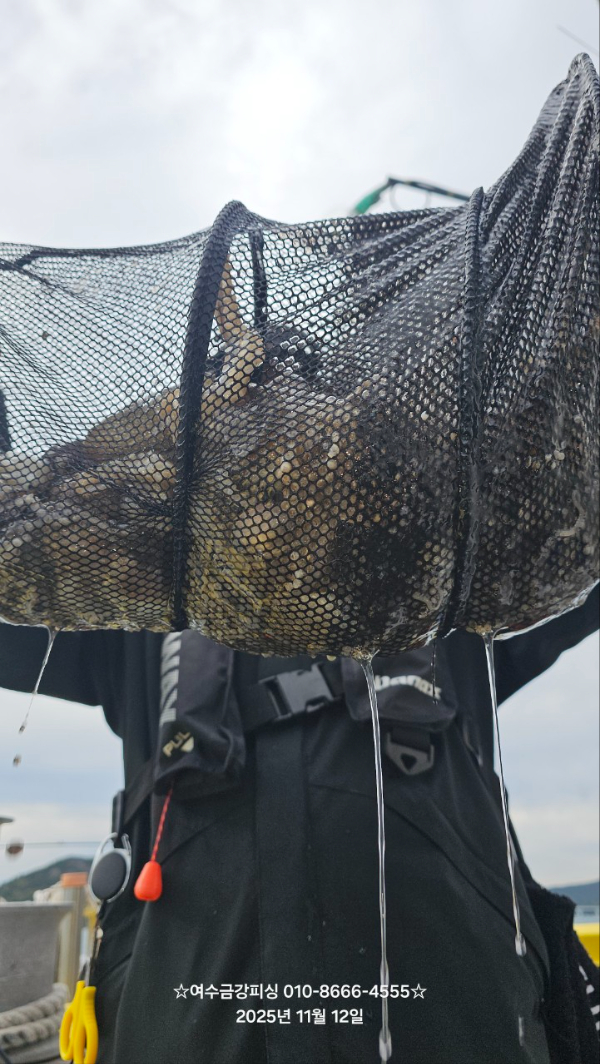 여수금강피싱_사진_20251112_8.jpg