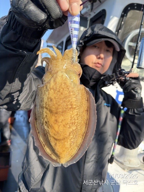 군산 선상낚시, 바다낚시 출조 전문 ☆서군산낚시☆_사진_20251103_8.jpg