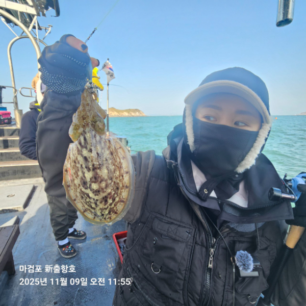 ꫛꫀꪝ✧‧˚ 태안 마검포 新출항호 .• _˚☀₊_사진_20251109_1.jpg