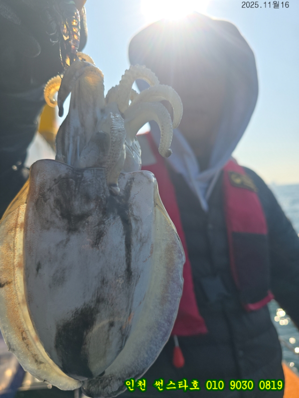 11월16 썬 (5).jpg