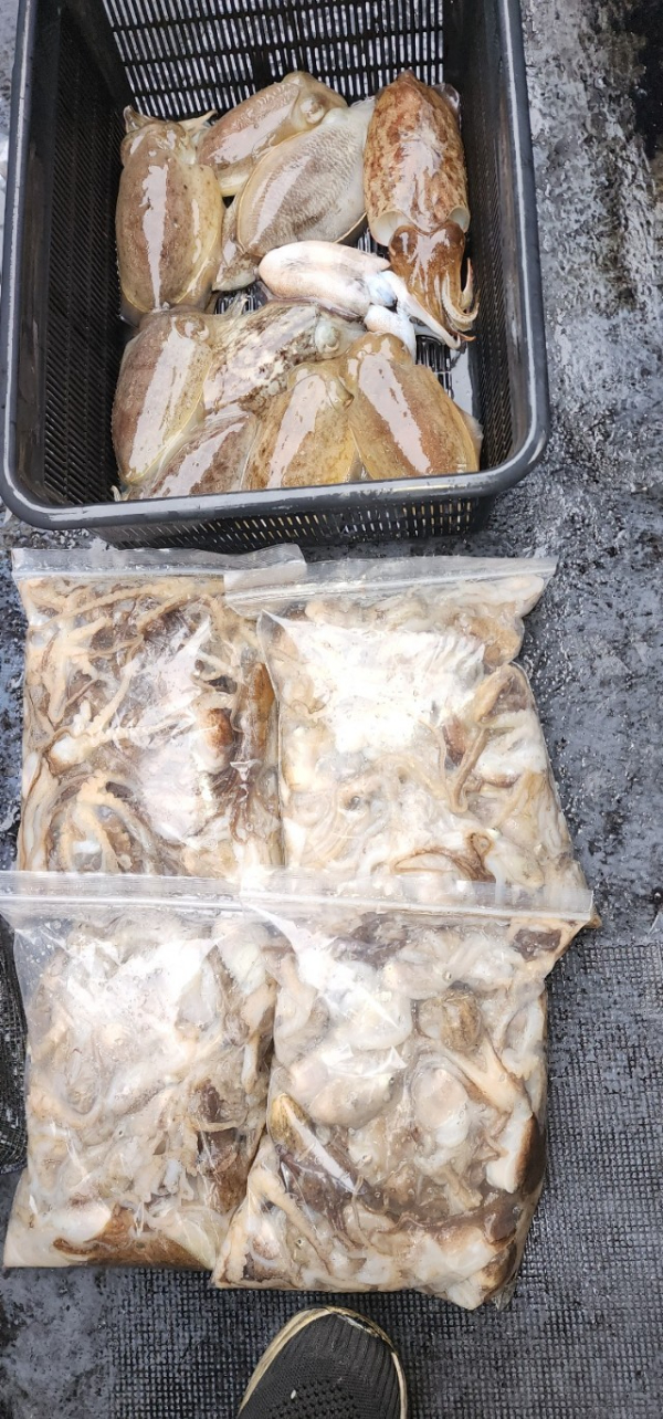 예지퀸호 농어외수질&어초낚시 경기인천권_사진_20251031_15.jpg