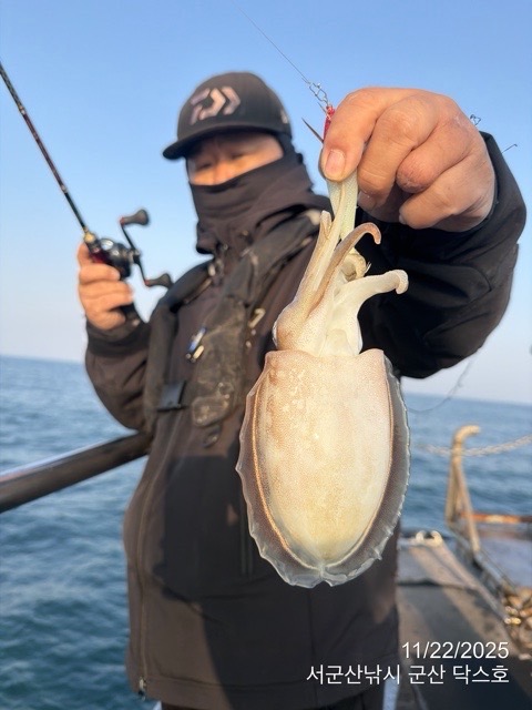 군산 선상낚시, 바다낚시 출조 전문 ☆서군산낚시☆_사진_20251122_15.jpg