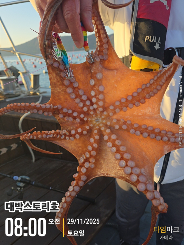 2025-11-29 08.00.44__(대박스토리호).jpg