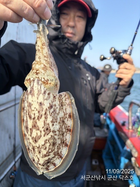 군산 선상낚시, 바다낚시 출조 전문 ☆서군산낚시☆_사진_20251109_3.jpg