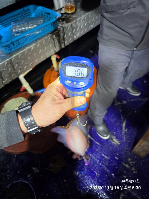 제주왔어호_사진_20251116_14.jpg