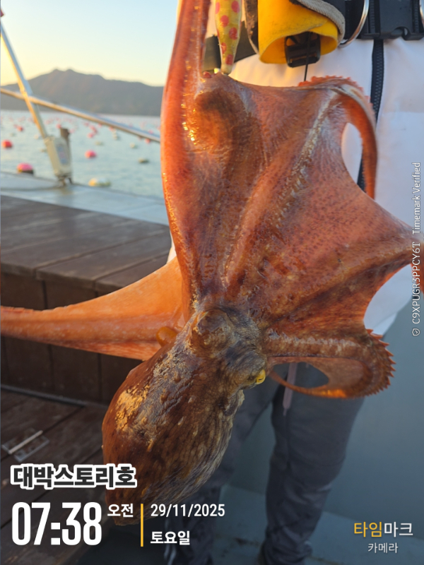 2025-11-29 07.38.19__(대박스토리호).jpg