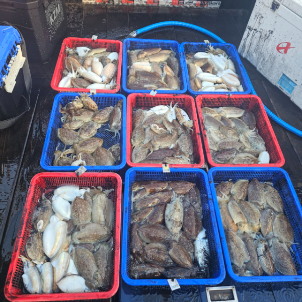 마검포 대한호(VIP)_사진_20251106_4.jpg